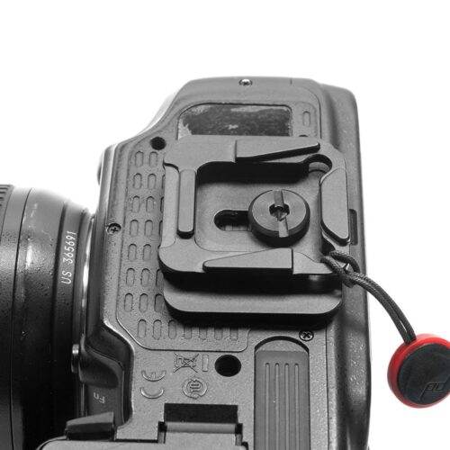 Dual plate 02.jpg