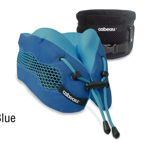 Evolution cool neck pillow 02.jpg
