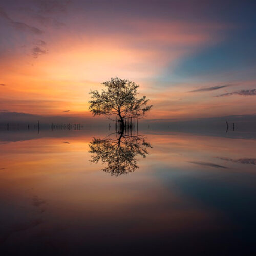 F 02 120.jpg