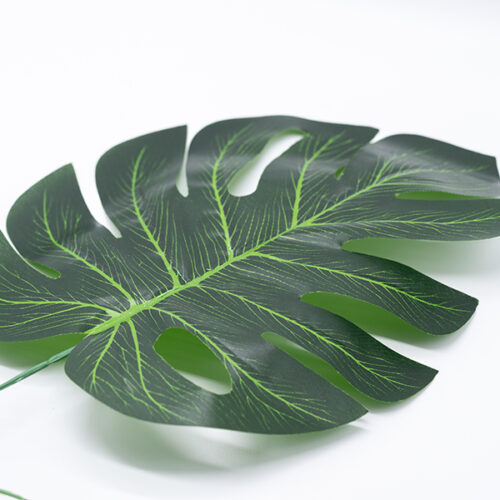 Leaf 01 01.jpg