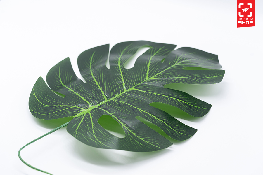 Leaf 01 01.jpg