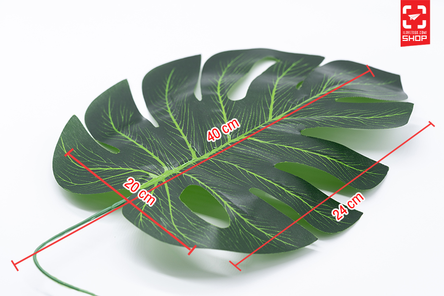 Leaf 01 06.jpg