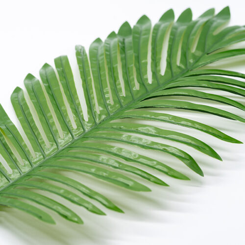 Leaf 02 01.jpg