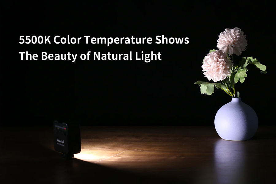 Mini led video light vl49 1672 d03.jpg