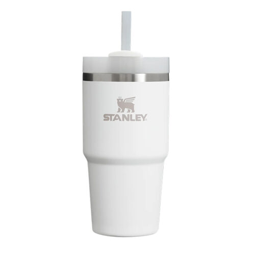 Quencher tumbler 20oz frost 01.jpg