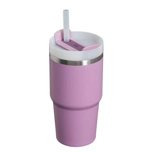 Quencher tumbler 20oz lilac 02.jpg