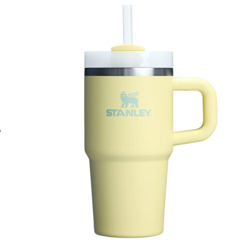Quencher tumbler 20oz pomelo n 01.jpg