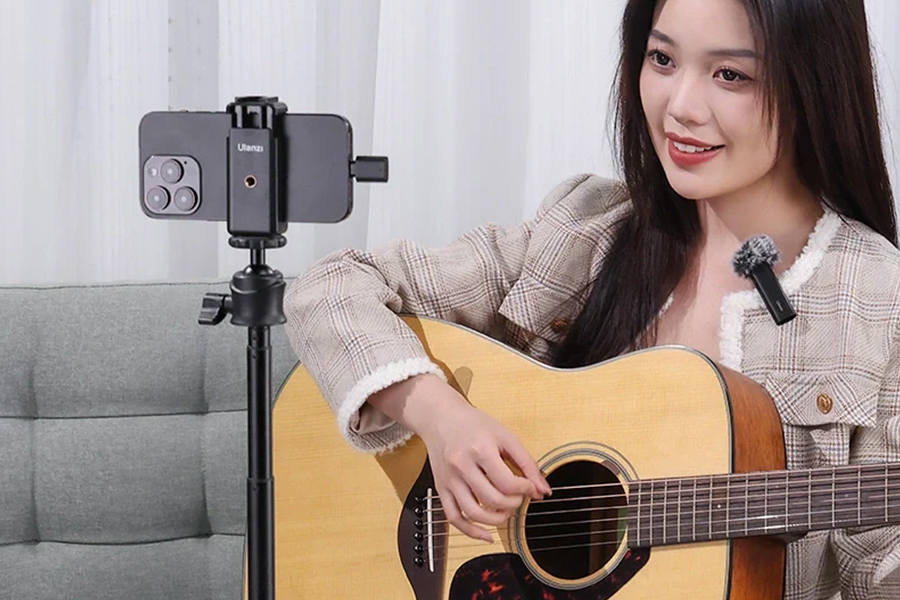 Wm 10 wireless microphone 3319 f01.jpg